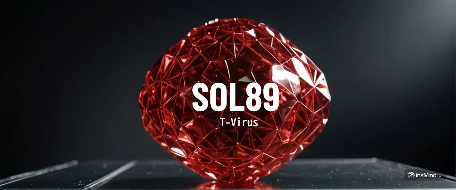 SOL89 — T Virus (Audio) artwork